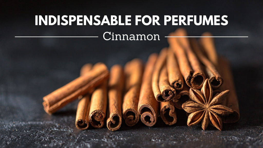 Indispensable for Perfumes: Cinnamon