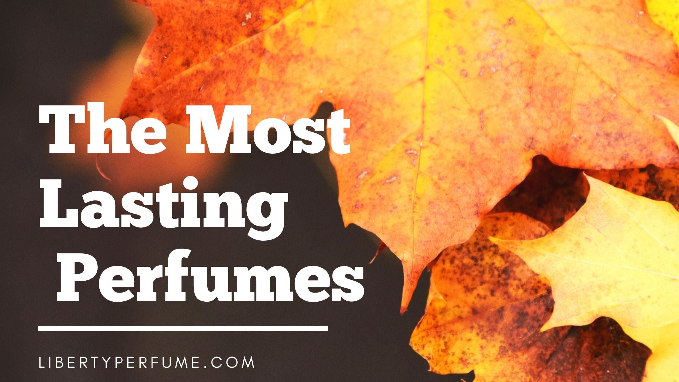 The Most Lasting Perfumes