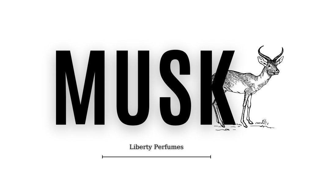 What is Musk? Use of Musk in Perfumes