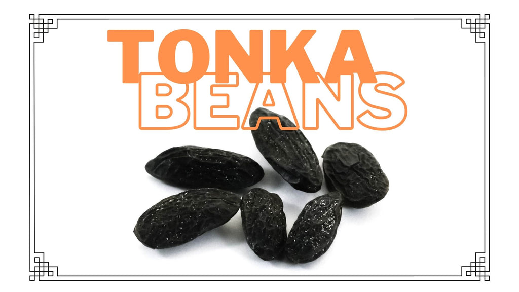 What are Tonka Beans? Use of Tonka Beans in Perfumes