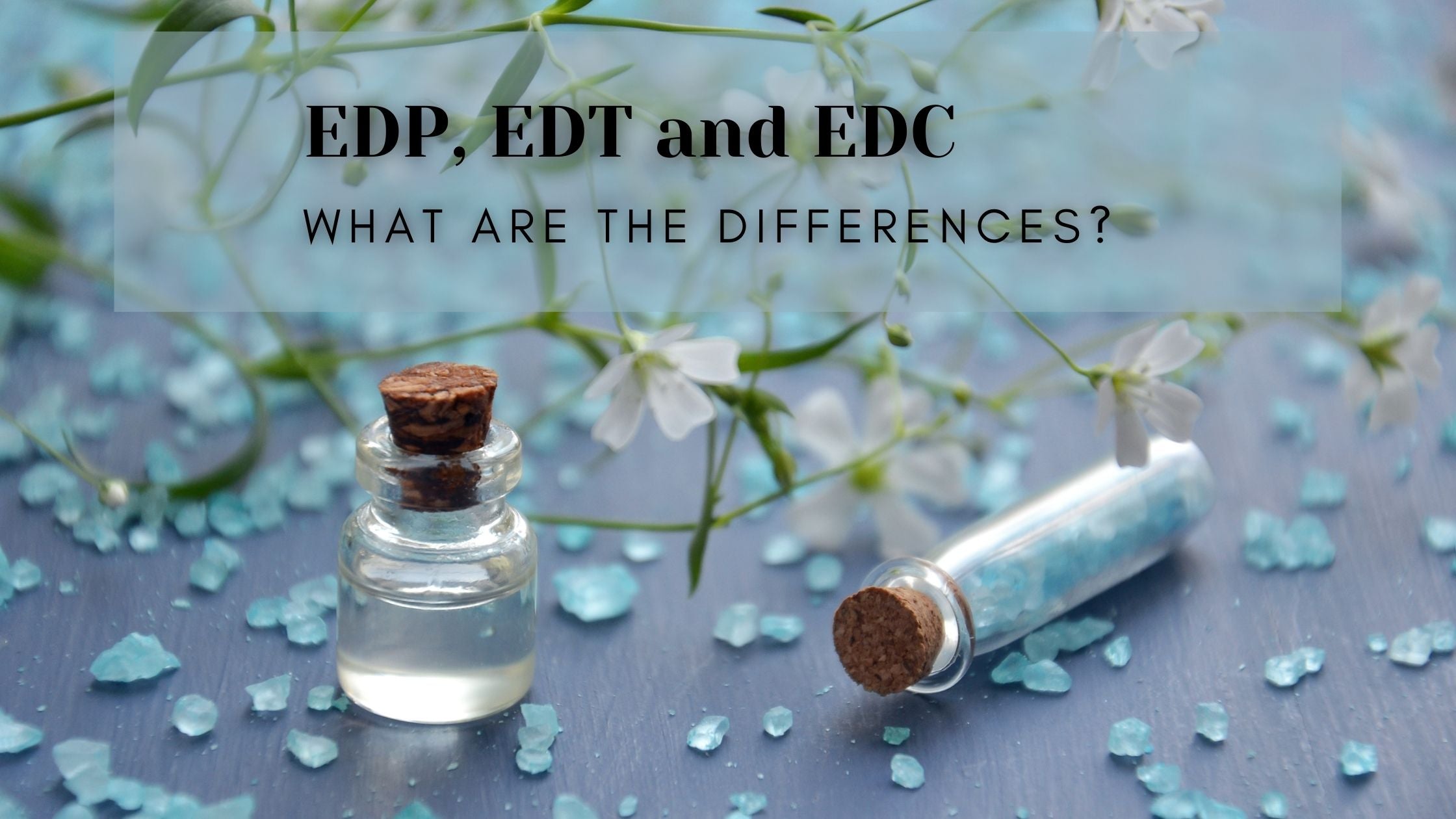 What are EDP, EDT, and EDC? What Are The Differences?