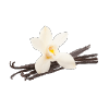 Bourbon Vanilla