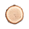 Cashmere Wood