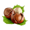 Chestnut