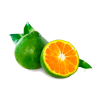 Green Mandarin