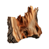 Guaiac Wood