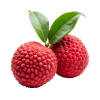 Litchi