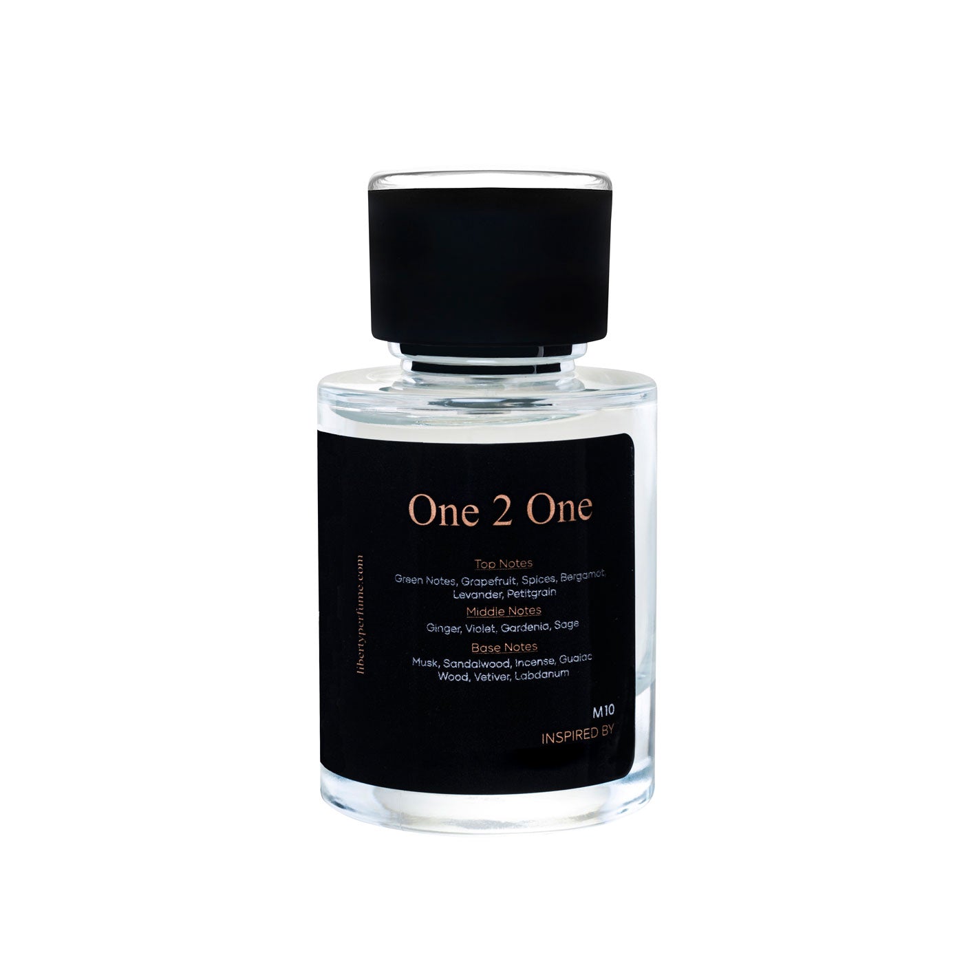 M10 one 2 One for Men Perfume