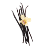 Madagascar Vanilla