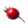 Pink Pepper
