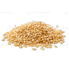 Sesame