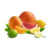 Citrus