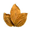 Tobacco